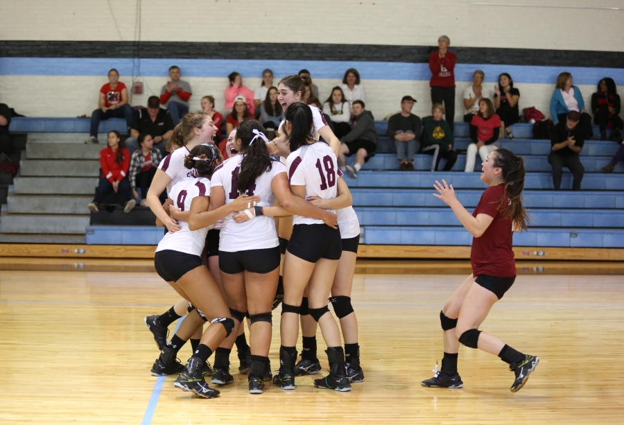 triumphant volleyball players celebrate their victory